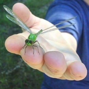 Meet your Posher, Deanna